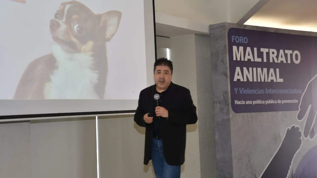 Advierten que el maltrato animal puede ser una señal de futuras conductas violentas